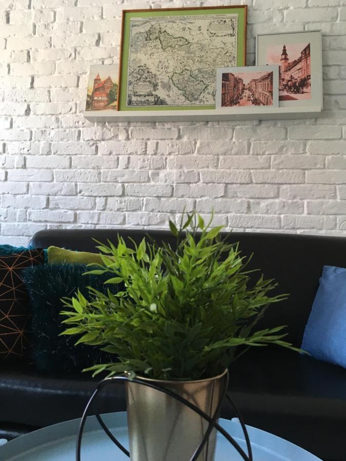 Apartament Zuzia Olsztyn  Esterno foto